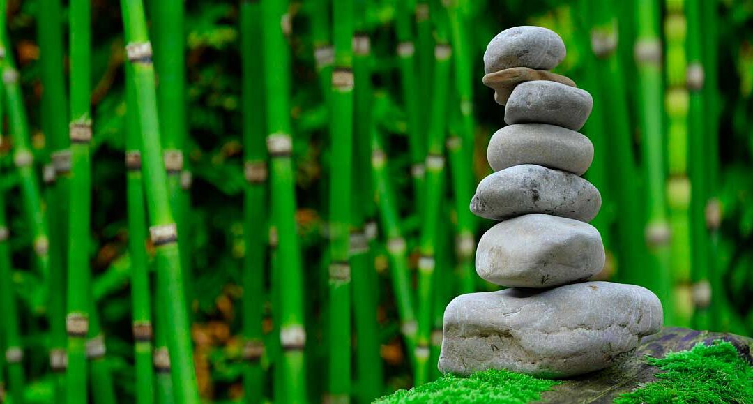 El comienzo del cambio interior: Cuento zen