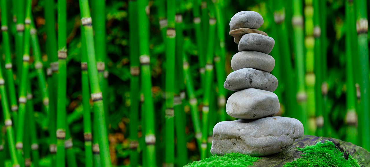 El comienzo del cambio interior: cuento zen sobre renacer